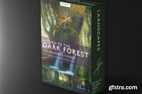 Скачать с Яндекс диска Daniel Laan – Return to the Dark Forest