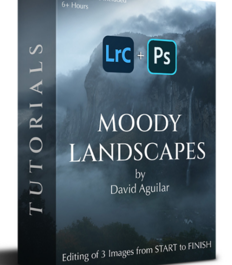 Скачать с Яндекс диска David Aguilar – Moody Landscapes