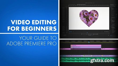 Скачать с Яндекс диска Video Editing for Beginners: Your Guide to Adobe Premiere Pro