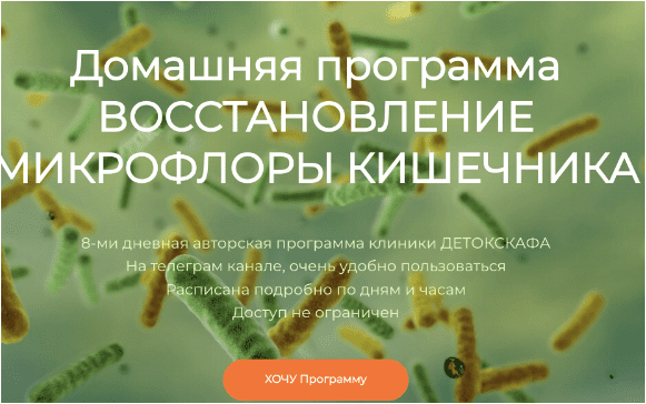 Домашняя программа восстановления микрофлоры кишечника – Кауфман (2024)