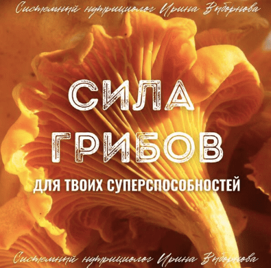 Сила грибов для твоих суперспособностей – Выборнова (2024)